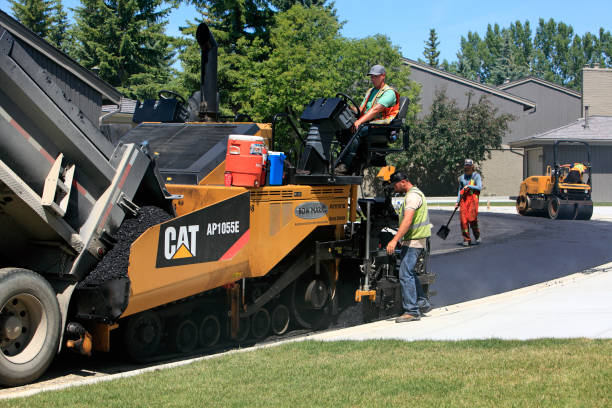 Best Driveway Paving Contractor  in Red Lake, AZ